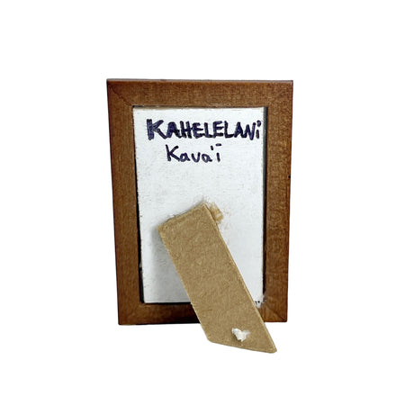 Rainbow Kahelelani Kauai Hawaii Miniature Display Frame Collectable Handmade