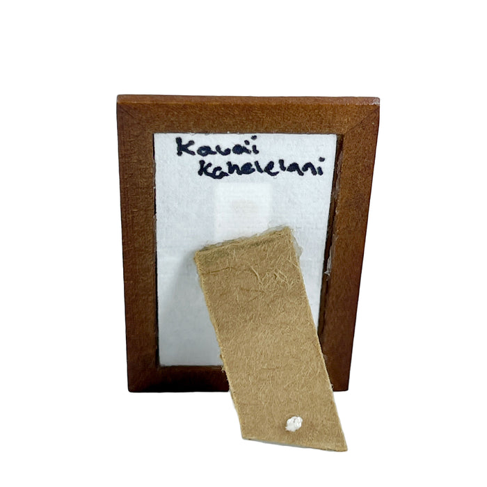 Ombre Kahelelani Kaua'i Hawaii Miniature Display Frame Collectable Handmade