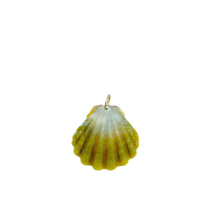 Small Moonrise Solid Gold Bail Green Sunrise Shell O'ahu Pendant Necklace - 14K Yellow Gold