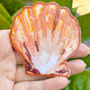 Embroidered Patch Sunrise Shell Pecten Langfordi Sunny Hawaiian Custom Designed 3 Inch Iron On